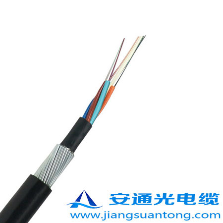 GYTA33光纜內3.jpg GYTA33光纜內3.jpg