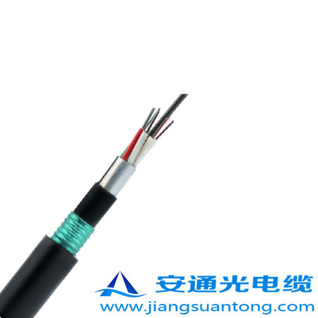 GYTA53光纜內1.jpg GYTA53光纜內1.jpg